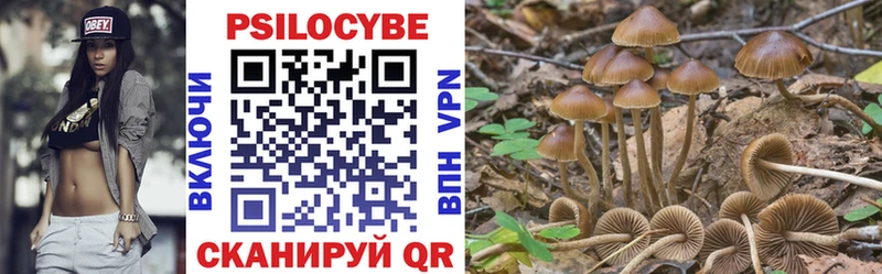 Псилоцибиновые грибы прущие грибы  Обоянь 